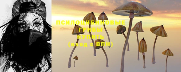ALPHA-PVP Пролетарск
