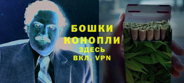 трава Аркадак